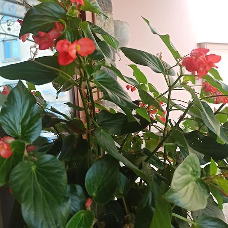 فندق هوتل مازوليني Roncola المظهر الخارجي الصورة